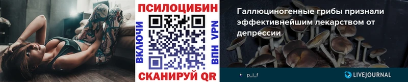 цена   мориарти официальный сайт  Псилоцибиновые грибы MAGIC MUSHROOMS  Гай 